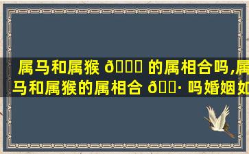 属马和属猴 🐝 的属相合吗,属马和属猴的属相合 🌷 吗婚姻如何